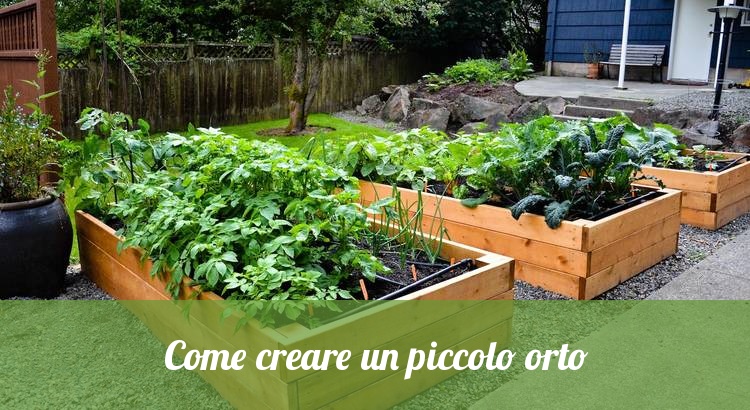 Come organizzare un orto. elegant nel progettare lorto biologico ... Come progettare un orto