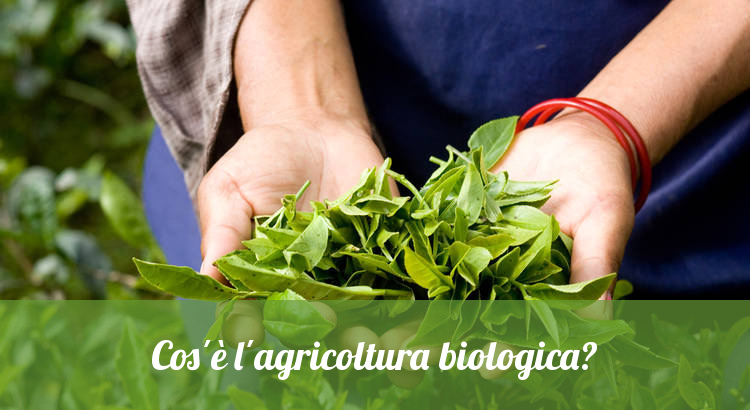 Produzione agricola biologica e naturale.