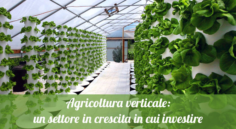 Continua la crescita dell'agricoltura verticale.