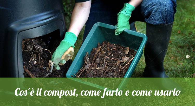 Cos'è il compost e come usarlo.