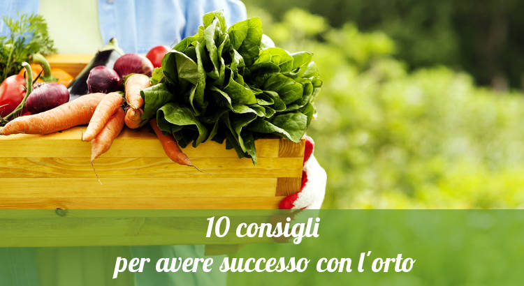 Come avere successo con un orto.