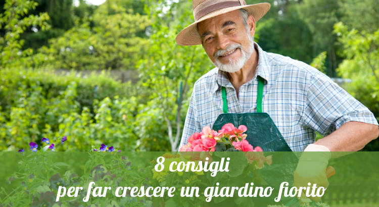 Giardino fiorito, 8 consigli per crescere le piante.