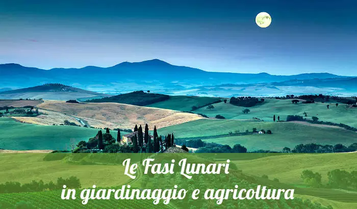 Le fasi lunari in giardinaggio e agricoltura.