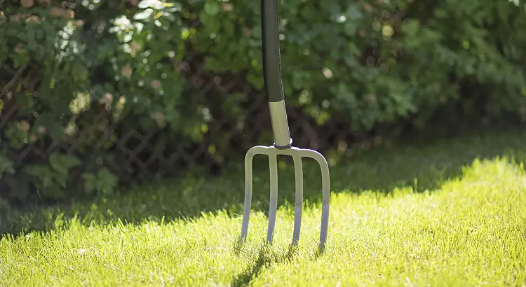 Forcone da giardino a 4 denti in acciaio.