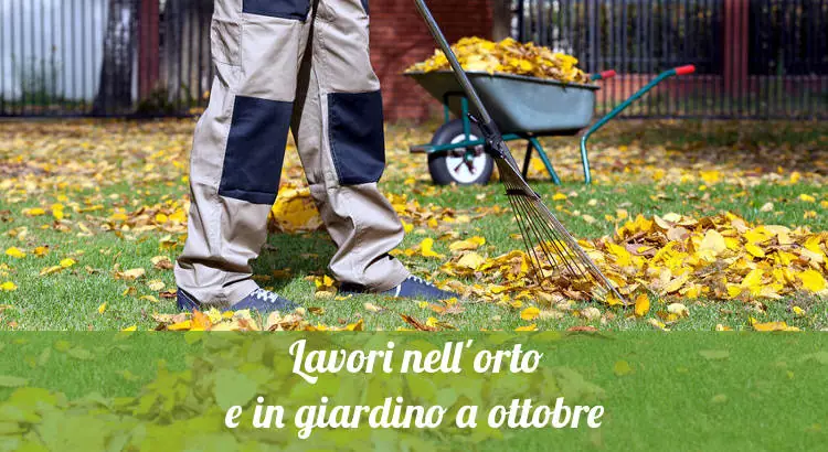 Cosa fare in orto e giardino a ottobre.