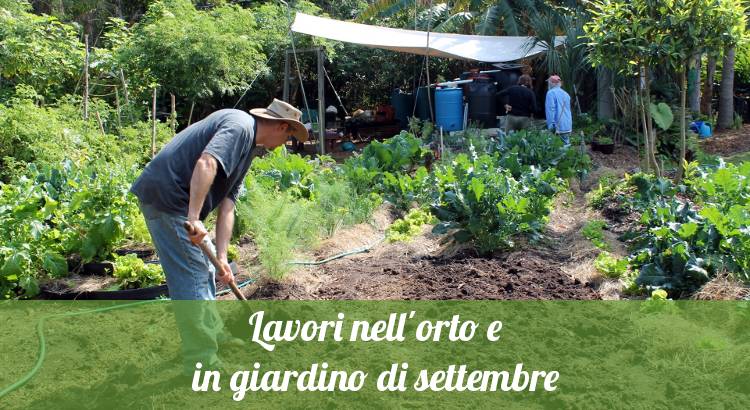 Lavori in orto a settembre.