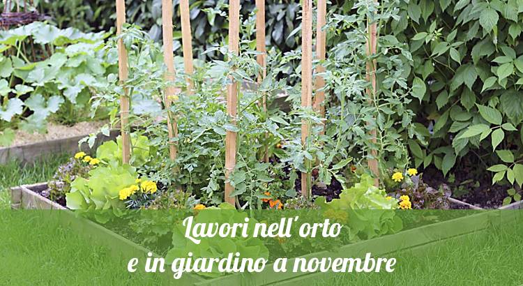 Cosa fare nell'orto a novembre.