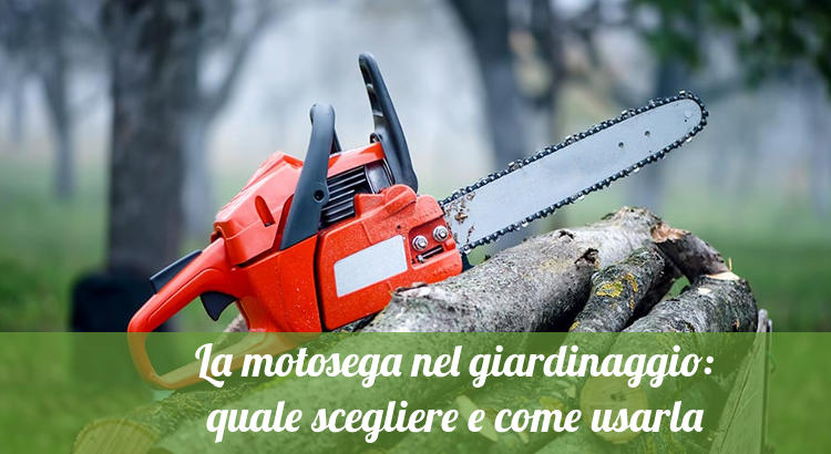 Quale motosega scegliere e come usarla nel giardinaggio.