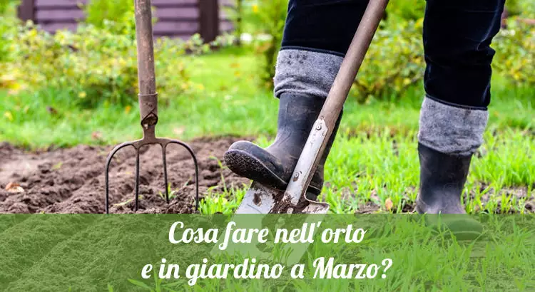 Cosa fare nell'orto e in giardino a Marzo.