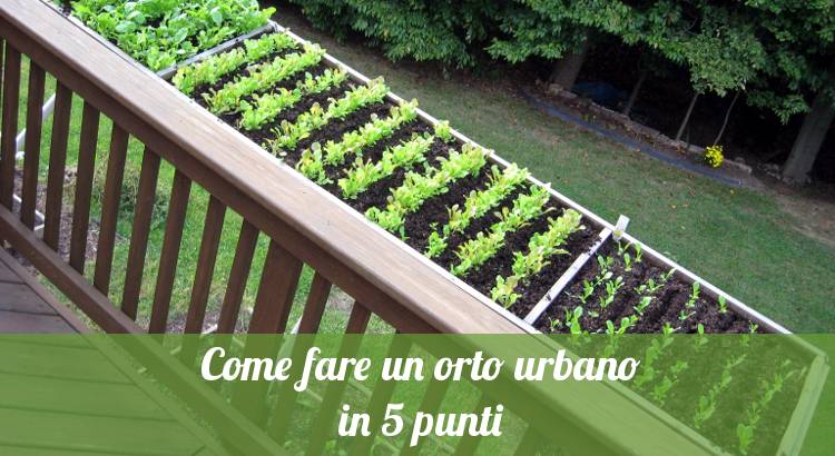 Come fare un orto urbano sul balcone o in terrazzo.