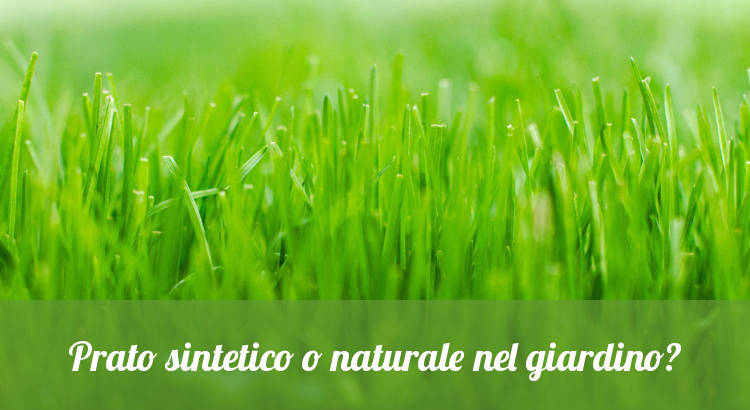 Prato sintetico o naturale per il giardino?