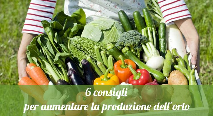 Aumentare la produzione di verdure nell'orto.