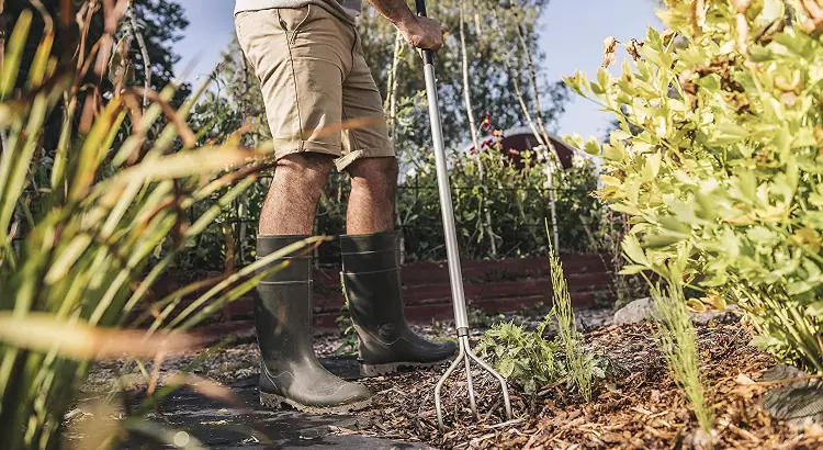 Sarchiello per giardinaggio e orto Fiskars.