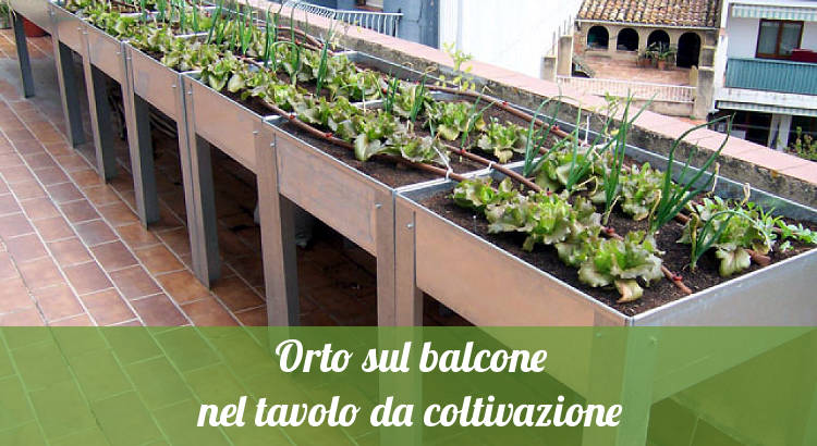 Tavolo per orto sul balcone.