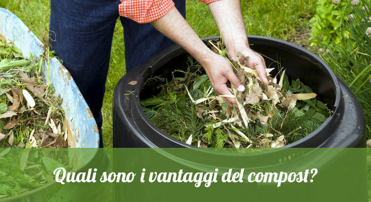 Vantaggi del compostaggio come fertilizzante.