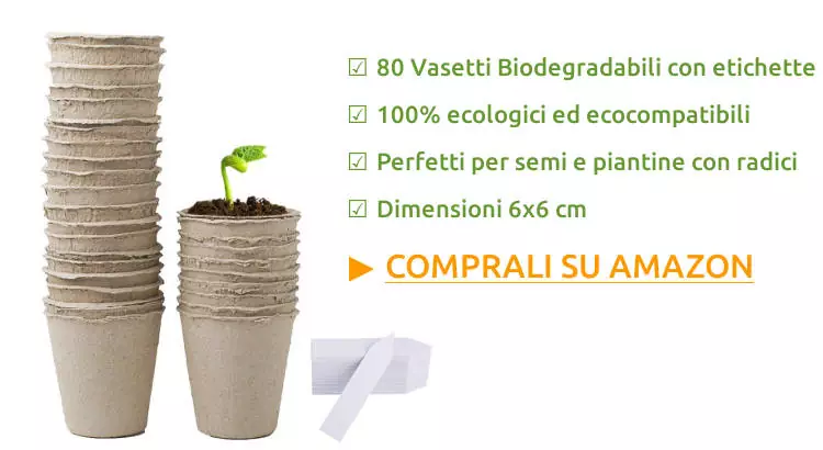 Vasetti biodegradabili per semi e piantine.