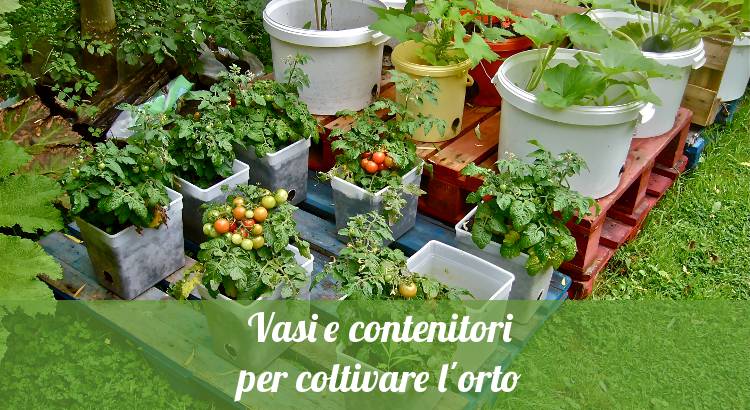 Vasi e contenitori per orto.